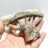 7 Pieces Clear Quartz Cluster Dendroid Guard Carving - Wholesale Crystals