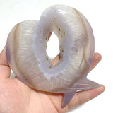 7 Pieces Geode Druzy Agate Fish Carving With Stand - Wholesale Crystals