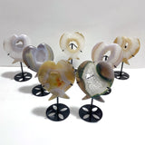 7 Pieces Geode Druzy Agate Fish Carving With Stand - Wholesale Crystals