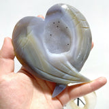 7 Pieces Geode Druzy Agate Fish Carving With Stand - Wholesale Crystals