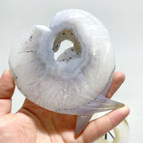 7 Pieces Geode Druzy Agate Fish Carving With Stand - Wholesale Crystals