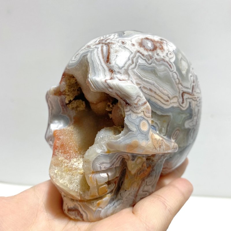 7 Pieces Geode Druzy Morocco Agate Skull Carving 3 - Wholesale Crystals