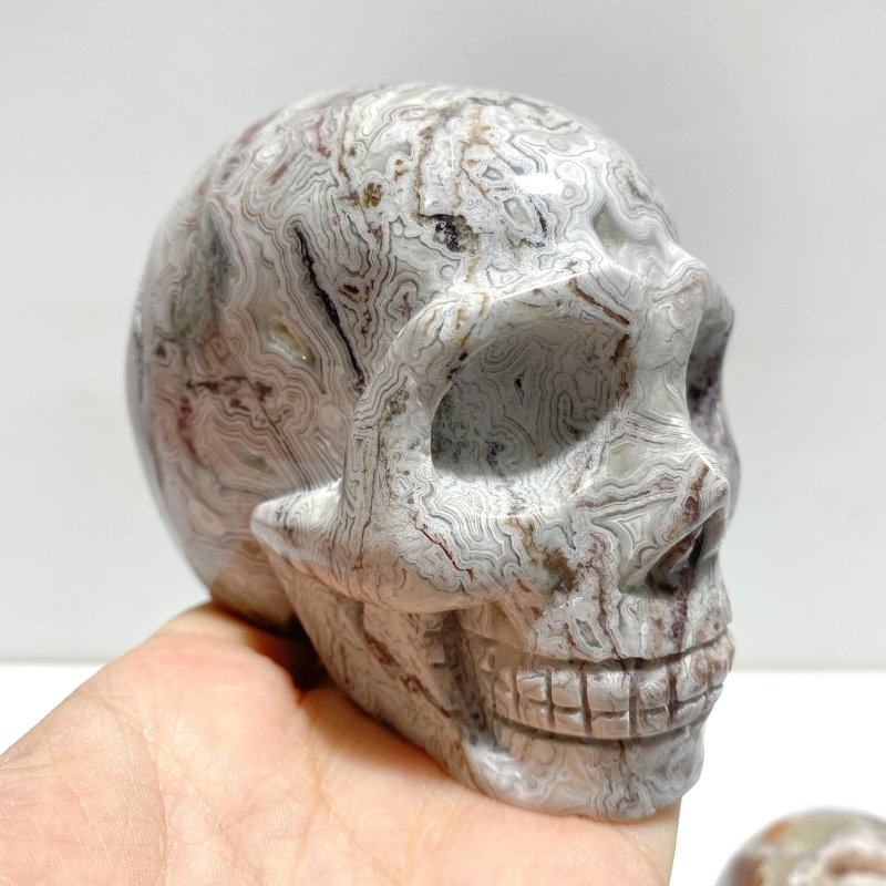 7 Pieces Geode Druzy Morocco Agate Skull Carving 3 - Wholesale Crystals