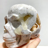 7 Pieces Geode Druzy Morocco Agate Skull Carving 3 - Wholesale Crystals