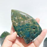 7 Pieces Green 6th Vein Ocean Jasper Arrow Head Shape Home Decor - Wholesale Crystals