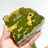 7 Pieces Large 8th Vein Ocean Jasper Slabs - Wholesale Crystals