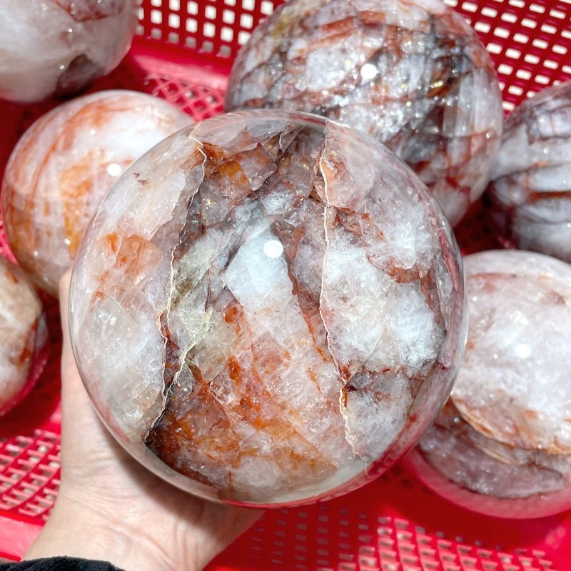 7 Pieces Large Fire Quartz Spheres 3.6 - 5.3in - Wholesale Crystals