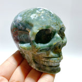 7 Pieces Moss Agate Skull Carving - Wholesale Crystals