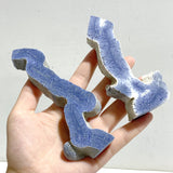 Blue Ridge Coral Heliopora Coerule Tower Point Wholesale