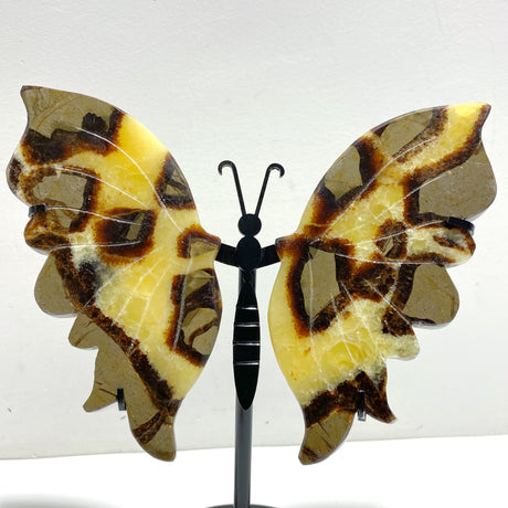 4 Pairs Septarium Butterfly Wing Carving With Stand #2