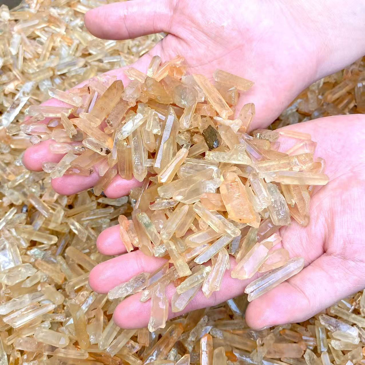 28KG Tangerine Quartz Mini Super Clear Quartz Point (Sea Freight Only)