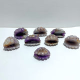 8 Pieces Amethyst Mixed Stripe Agate Shell Carving (Defect) - Wholesale Crystals