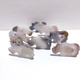 8 Pieces Beautiful Geode Druzy Agate Rhino Carving - Wholesale Crystals