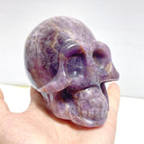 8 Pieces Chevron Amethyst Skull Carving - Wholesale Crystals