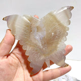 8 Pieces Geode Druzy Agate Butterfly Carving - Wholesale Crystals