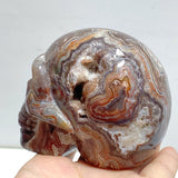 8 Pieces Geode Druzy Morocco Agate Skull Carving 2 - Wholesale Crystals