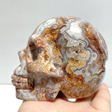 8 Pieces Geode Druzy Morocco Agate Skull Carving 2 - Wholesale Crystals