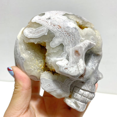8 Pieces Geode Druzy Morocco Agate Skull Carving 4 - Wholesale Crystals