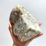 8 Pieces Large 8th Vein Ocean Jasper Free Form Home Decor - Wholesale Crystals