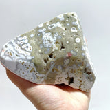 8 Pieces Large 8th Vein Ocean Jasper Free Form Home Decor - Wholesale Crystals