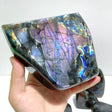 8 Pieces Large Beautiful Polished Purple Blue Labradorite Free Form - Wholesale Crystals