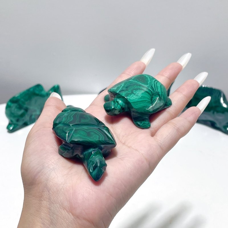 8 Pieces Malachite Sea Animals Carving - Wholesale Crystals