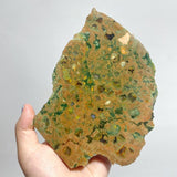 8 Pieces Peacock Eye Rain Forest Jasper Slab - Wholesale Crystals