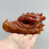 7 Pieces Carnelian Dragon Head Carving