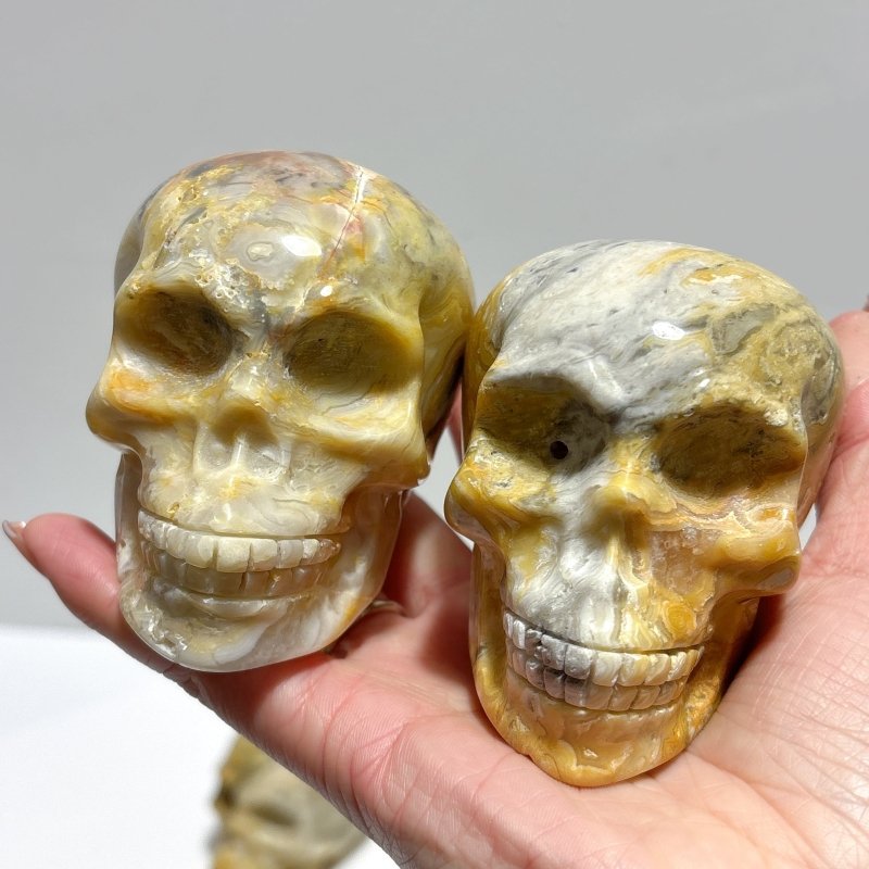 9 Pieces Beautiful Crazy Agate Skull Carving - Wholesale Crystals