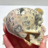 9 Pieces Beautiful Crazy Agate Skull Carving - Wholesale Crystals