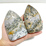 9 Pieces Ocean Jasper Arrow Head Shape Home Decor - Wholesale Crystals