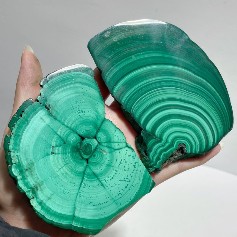 9 Pieces Polished Malachite Slab - Wholesale Crystals