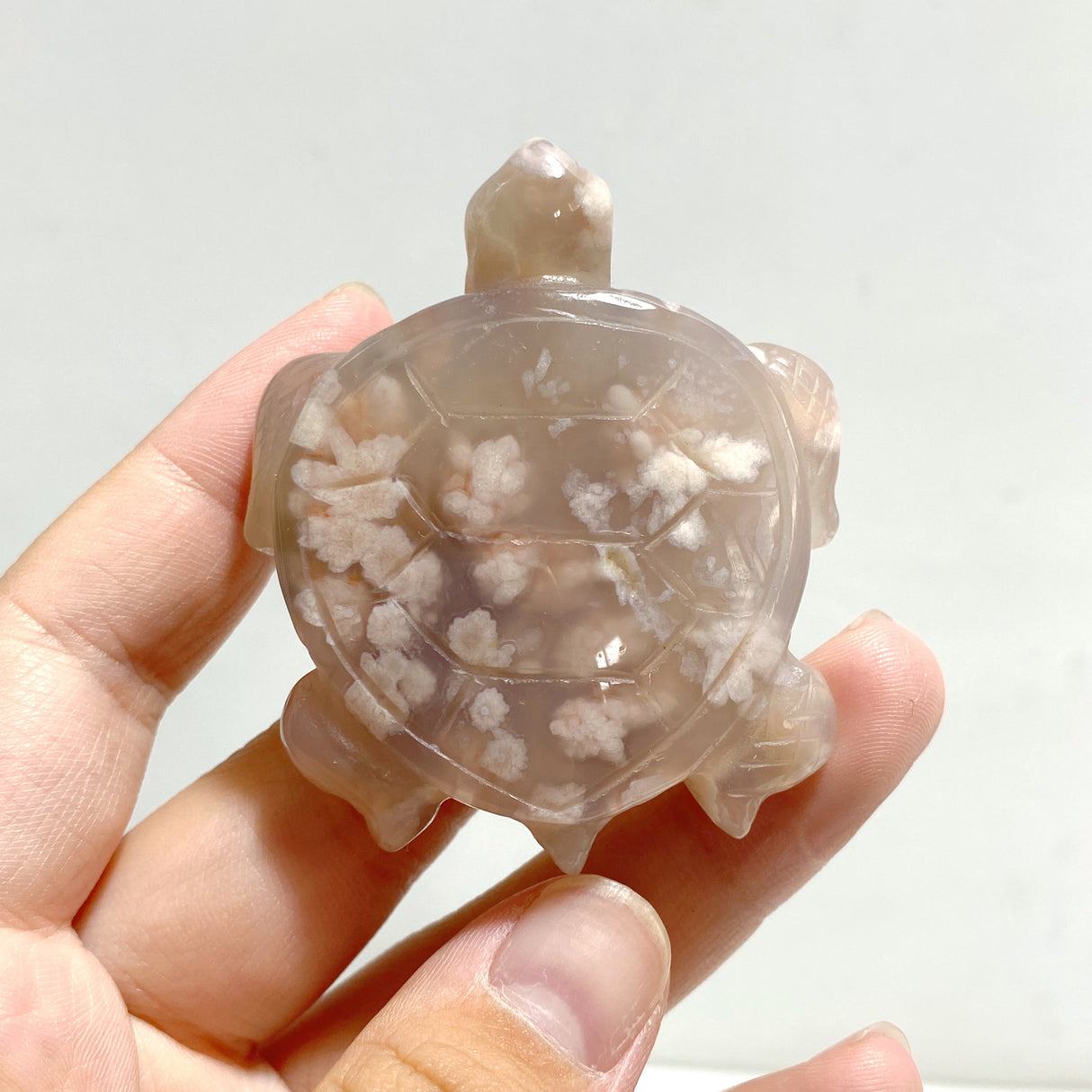 17 Pieces Sakura Flower Agate Sea Turtle Carving