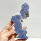 Blue Ridge Coral Heliopora Coerule Tower Point Wholesale