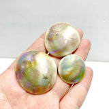 Aura Shell Fossil Wholesale - Wholesale Crystals