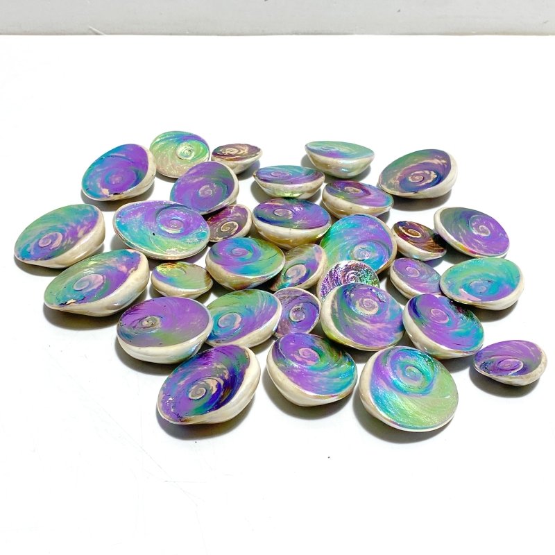 Aura Shell Fossil Wholesale - Wholesale Crystals