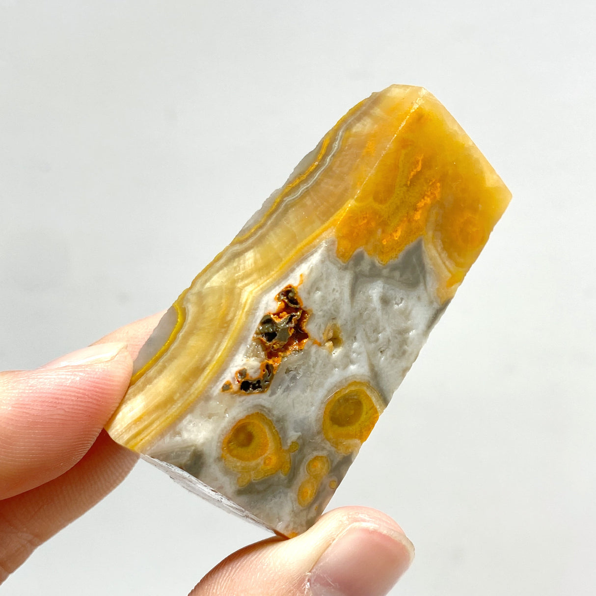 Bumble Bee Jasper Free Form Wholesale