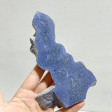 Blue Ridge Coral Heliopora Coerule Tower Point Wholesale