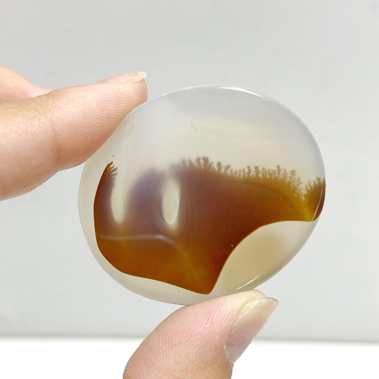 13 Pieces Natural Rare Scenic Dendritic Agate Stone