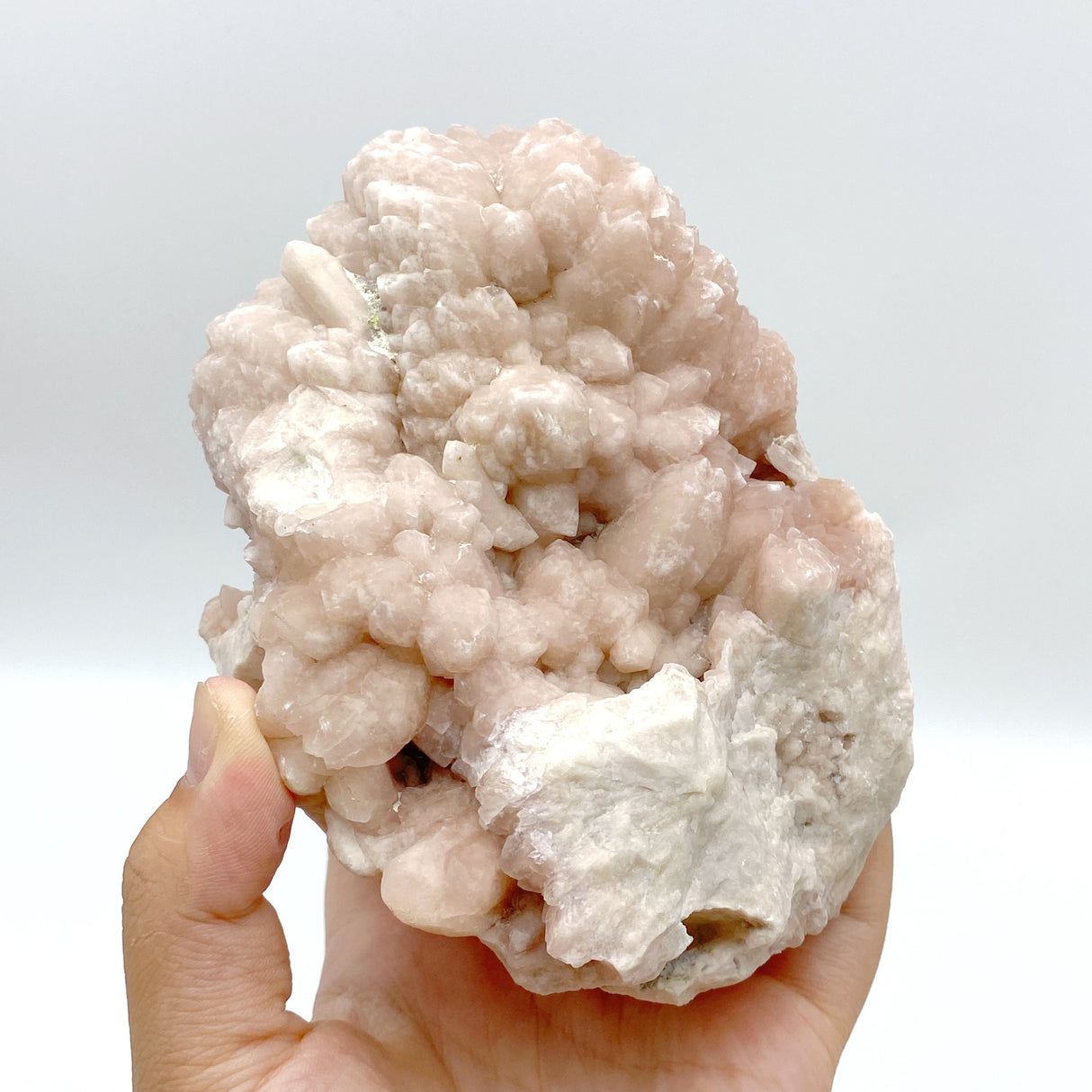 5 Pieces Large Raw Stilbite Specimen
