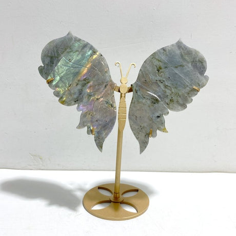 Beautiful Labradorite Butterfly Wing Carving With Stand - Wholesale Crystals