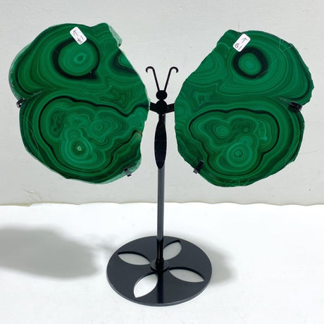 Beautiful Polished Malachite Slab Butterfly Wing With Stand (4) -Wholesale Crystals