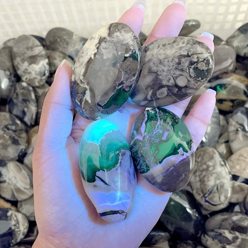 Beautiful Volcano Agate Palm Wholesale(UV - Reactive) - Wholesale Crystals