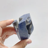 Blue Ridge Coral Free Form Heliopora Coerulea Wholesale - Wholesale Crystals