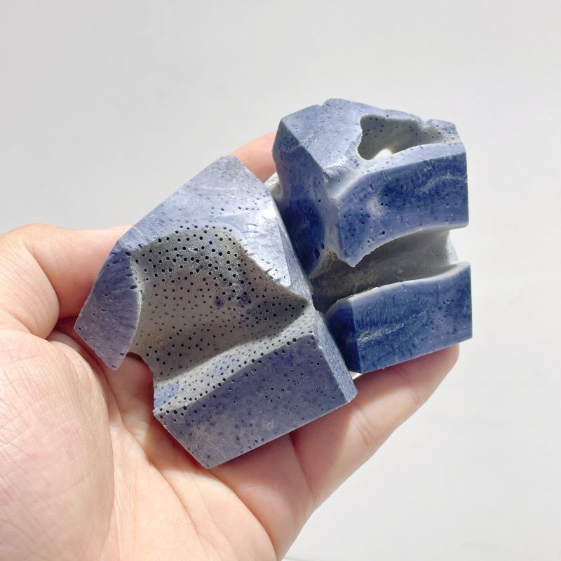 Blue Ridge Coral Free Form Heliopora Coerulea Wholesale - Wholesale Crystals