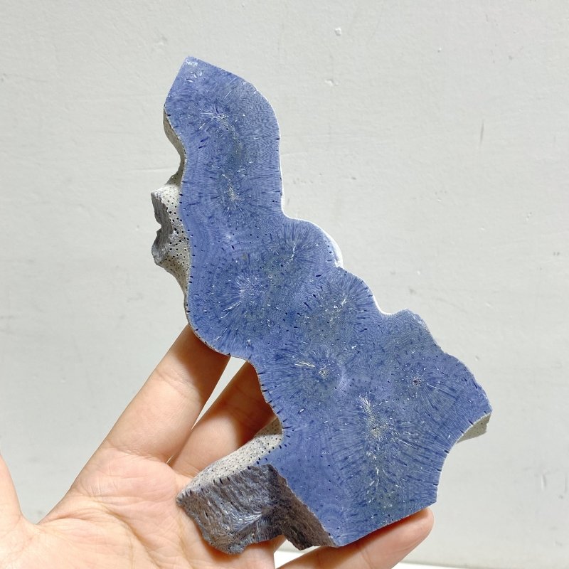 Blue Ridge Coral Heliopora Coerule Tower Point Wholesale -Wholesale Crystals
