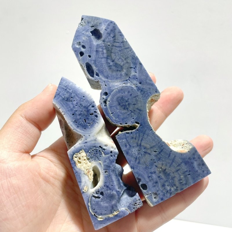 Blue Ridge Coral Heliopora Coerule Tower Point Wholesale - Wholesale Crystals