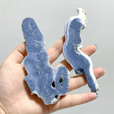 Blue Ridge Coral Slab Heliopora Coerulea Slab Wholesale - Wholesale Crystals