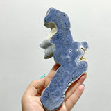 Blue Ridge Coral Slab Heliopora Coerulea Slab Wholesale - Wholesale Crystals