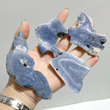 Blue Ridge Coral Slab Heliopora Coerulea Slab Wholesale - Wholesale Crystals